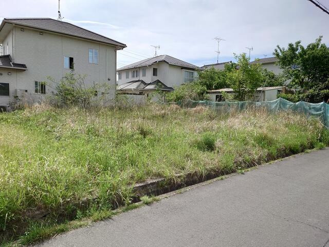 3397画像