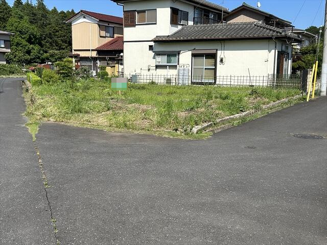 3635画像