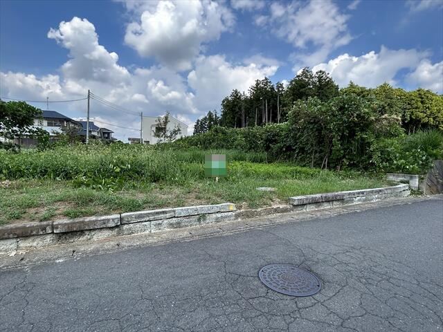 3713画像